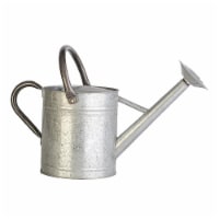 ShedRain GoGo 2 Gallon Galvanized Watering Can - Silver Perspective: Main