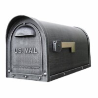 Special Lite Products SCC-1008-TD-SW Classic Curbside Mailbox with Two Doors, Swedish Silver