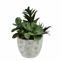 NorthLight 9.5 in. Artificial Mixed Green & Red Succulent Plants in a White Crackle Finish Di