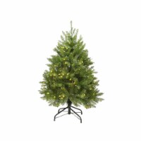 Northlight 4' Pre-Lit Full Northern Pine Artificial Christmas Tree - Warm Clear LED Lights