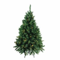 Northlight 4.5' Pre-Lit Buffalo Fir Full Artificial Christmas Tree - Warm White LED Lights