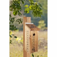 Woodlink WL24352 Novelty Wine Crate Bluebird House