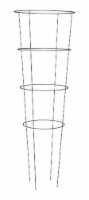 Panacea 4 Ring Wire Tomato Cage Perspective: Main