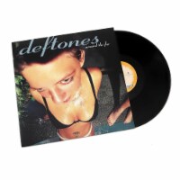 Deftones Around the Fur Perspective: Main
