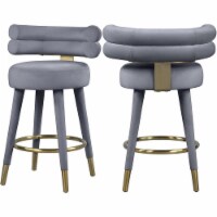 Meridian Furniture Fitzroy Gray Velvet Counter Stool (Set of 2)
