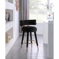 Meridian Furniture Fitzroy Black Velvet Counter Stool (Set of 2)