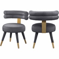 Meridian Furniture Fitzroy Gray Velvet Dining Chair (Set of 2)