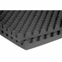 Auralex Acoustic Panel,4 ft. W,8 ft. L,PK2  2SON048CHA