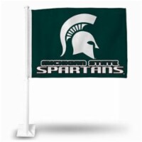 Rico Industries Michigan State Car Flag