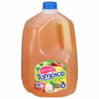 Tampico® Irresistible Apple Punch Perspective: Main