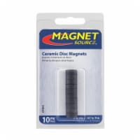 Magnet Source™ Ceramic Disc Magnets Perspective: Main