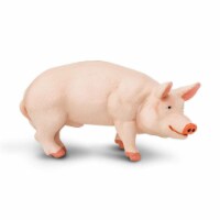 Boar
