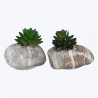 Youngs 10093 Ceramic Planter with Artificial Succulent, Assorted Color - 2 Piece