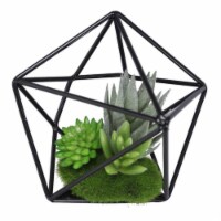 Youngs 12043 5 in. Artificial Mix Succulent in Metal Case