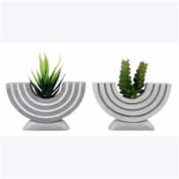 Youngs 12506 Resin Carved Stone Arch Succulent Planter, 2 Assorted Color