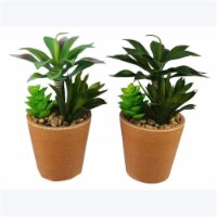 Youngs 20964 Succulent Garden & Terracotta Like Pot, Assorted Color - 2 Piece