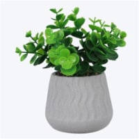 Youngs 72346 Ceramic Planter with Greenery