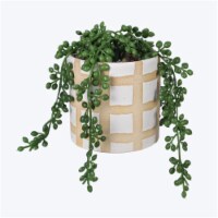 Youngs 72349 Ceramic Planter with Greenery
