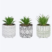 Youngs 72467 Cement Pot with Greenery, Assorted Color - 3 Piece