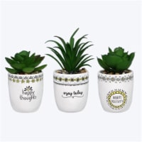 Youngs 72477 Ceramic Handmade Pots with Succulent Set - Small - 3 Piece