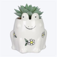 Youngs 72608 Ceramic Frog Planter with Succulent