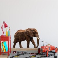 African Elephant Vinyl Wall Decal - PAS13