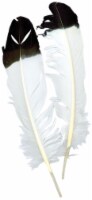 Imitation Eagle Quill Feathers 2/Pkg-White W/Black Tip