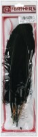 Turkey Quill Feathers 4/Pkg-Black