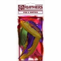 Duck Satinettes Feathers .05oz-Tropical Dyed Over Natural