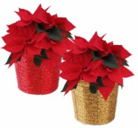 Red Poinsettia with Red / Gold Pot Perspective: Main
