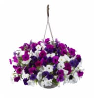 Premium Flowering Hanging Baskets Perspective: front