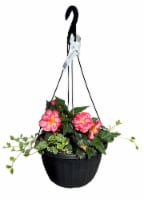 Fresh Live Begonia in Hanging Basket Perspective: Main