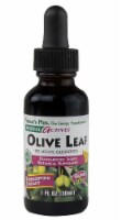Nature's Plus Herbal Actives Olive Leaf Liquid Energy Supplement
