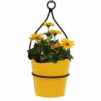 Houston International Trading 0337E S-2 SAFF 6.5 in. Enameled Galvanized Planter with Iron Ha