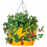 Houston International Trading 8495E SAFF Enameled Galvanized Hanging Strawberry & Flower Plan