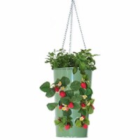 Houston International Trading 8395E AG Enameled Galvanized Hanging Strawberry, Floral Planter