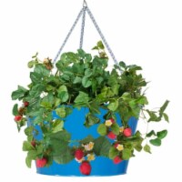 Houston International Trading 8495E B Enameled Galvanized Hanging Strawberry & Flower Planter
