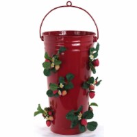 Houston International Trading 8491E XR Enameled Galvanized Strawberry & Flower Planter, Red