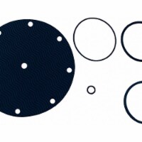 Watts Valve Rebuild Kit,For Use w/6CJP2-4  100RK-2 1/2