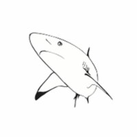 Creative Shapes Etc SE-0411 0.5 x 0.5 in. Incentive Stamp - Shark