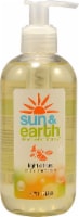 Sun & Earth Natural Hand Soap Light Citrus Perspective: Main