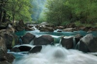 Crystal Art Gallery Secret Passage Stream Wall Decor
