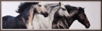 Crystal Art Gallery Herd Nested Framed Wall Decor