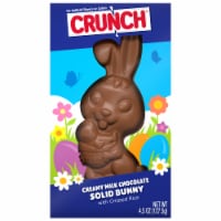 CRUNCH Milk Chocolate and Crisped Rice Easter Solid Bunny Easter Basket Stuffers Perspective: Main