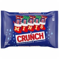 CRUNCH MINIS Milk Chocolate and Crisped Rice Individually Wrapped Candy Bars White Elephant Gifts
