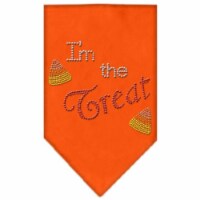 Mirage Pet Products67-90 SMOR I Am The Treat Rhinestone Bandana, Orange - Small