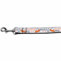Mirage Pet 125-212 5806 Pumpkin Pie Nylon Dog Leash, 0.63 in. x 6 ft.