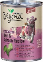 Beyond Grain Free Beef & Spinach Dry Dog Food Perspective: Main