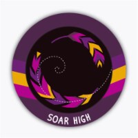M&M Sales Enterprises  Adventure Soar High Swing
