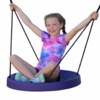 M&M Sales Enterprises  Air Riderz Saucer Swing&#44; Purple